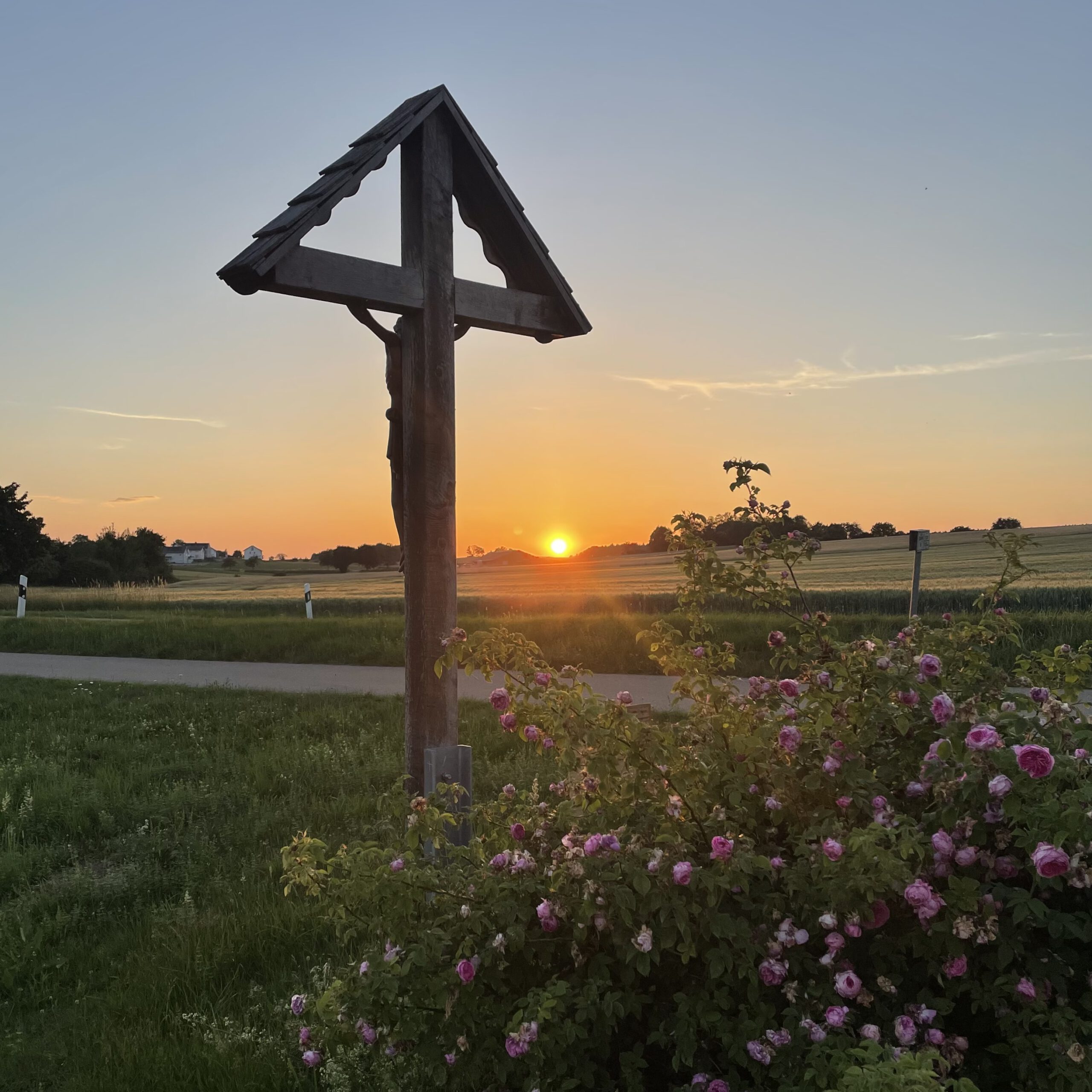 Beispiel-Bild